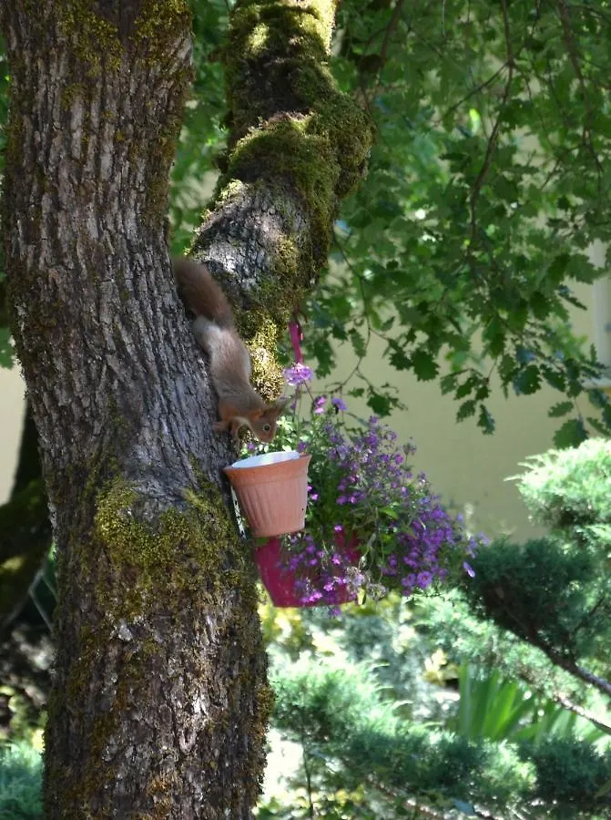 Holiday home Les Gites De Lescurou Limogne-en-Quercy